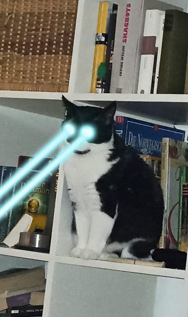Laser Cat - Button